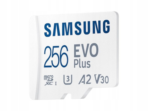 Karta MicroSD Samsung Evo Plus 2021 256GB SDXC (MB-MC256KA/EU)