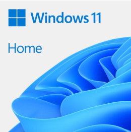Windows 11 Home DVD OEM