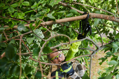 NOŻYCE SEKATOR AKUMULATOROWY DO PRZYCINANIA GAŁĘZI OLP1832BX 18V RYOBI