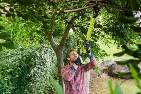 NOŻYCE SEKATOR AKUMULATOROWY DO PRZYCINANIA GAŁĘZI OLP1832BX 18V RYOBI