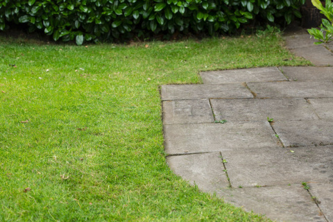 Przycinarka do krawędzi trawnika Ryobi ONE+ RY18EGA-0 Krawędziarka