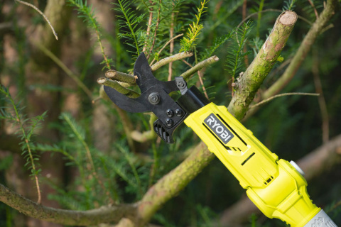 Sekator na wysięgniku Ryobi ONE+ RY18PLA-0 Akumualtorowe Do Gałęzi RY18PLA-0