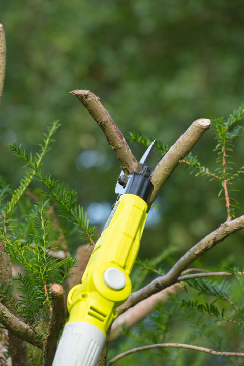 Sekator na wysięgniku Ryobi ONE+ RY18PLA-0 Akumualtorowe Do Gałęzi RY18PLA-0