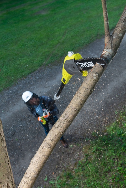 RYOBI AKUMULATOROWA PILARKA ONE+ 18V DO GAŁĘZI Z PROWADNICĄ 200MM