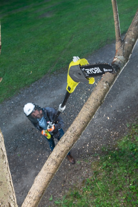 RYOBI AKUMULATOROWA PILARKA ONE+ 18V DO GAŁĘZI Z PROWADNICĄ 200MM