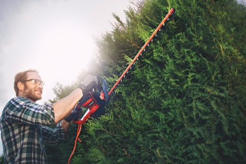 Einhell GE-EH 7067 Nożyce Elektryczne do Żywopłotu 700W Sieciowe Ostrze 67cm