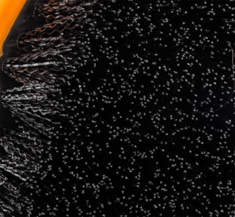 Uniwersalna szczotka do opon, tapicerki 11-451