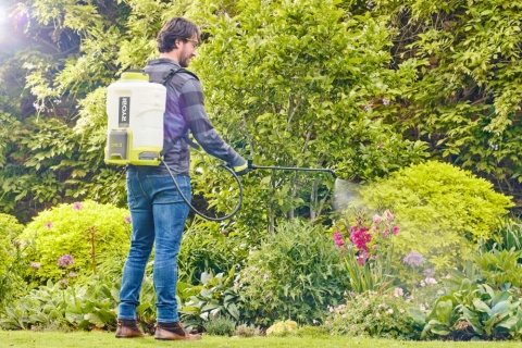 Opryskiwacz akumulatorowy plecakowy Ryobi 15 l ONE+ 18V RYOBI RY18BPSB-0